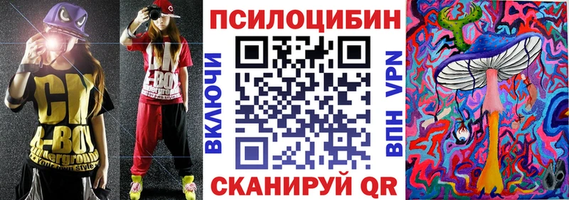 Псилоцибиновые грибы Psilocybe Абакан