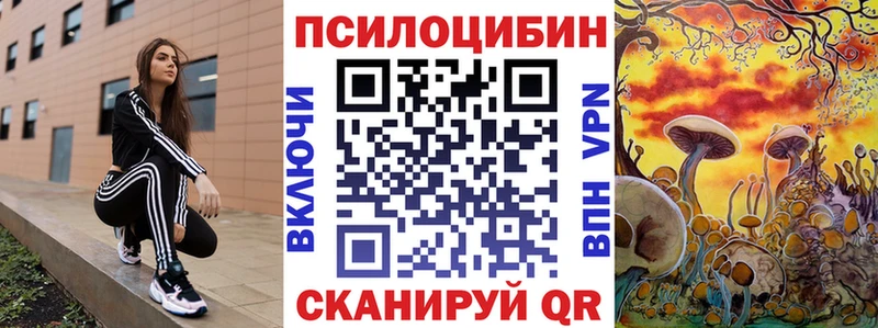 как найти закладки  Абакан  Псилоцибиновые грибы Psilocybine cubensis 