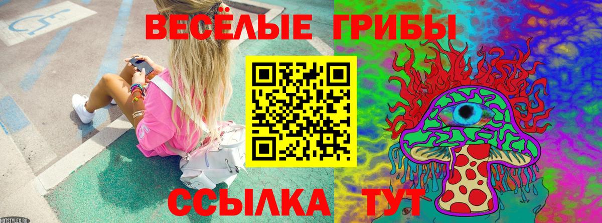 Галлюциногенные грибы Magic Shrooms Абакан