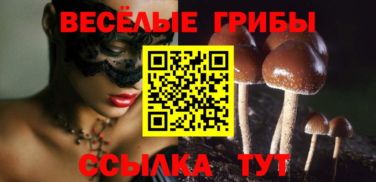 Псилоцибиновые грибы GOLDEN TEACHER Абакан